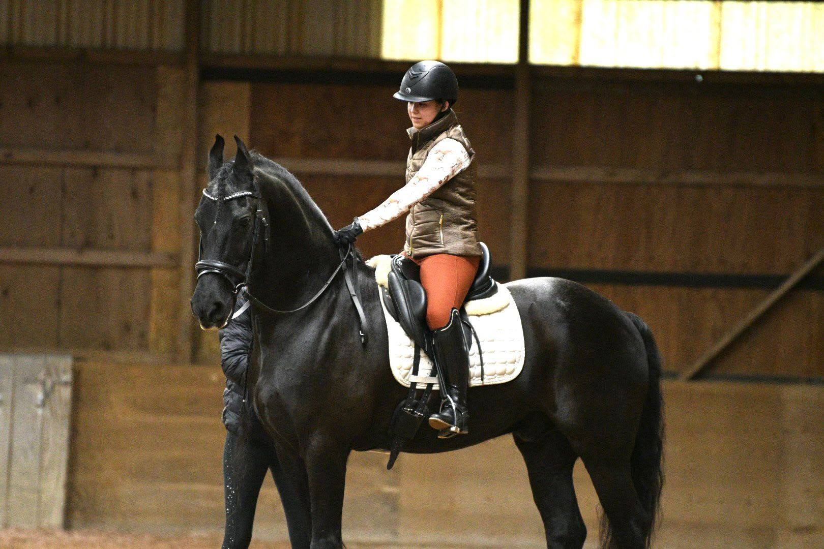 A black school horse with a handler at the barn