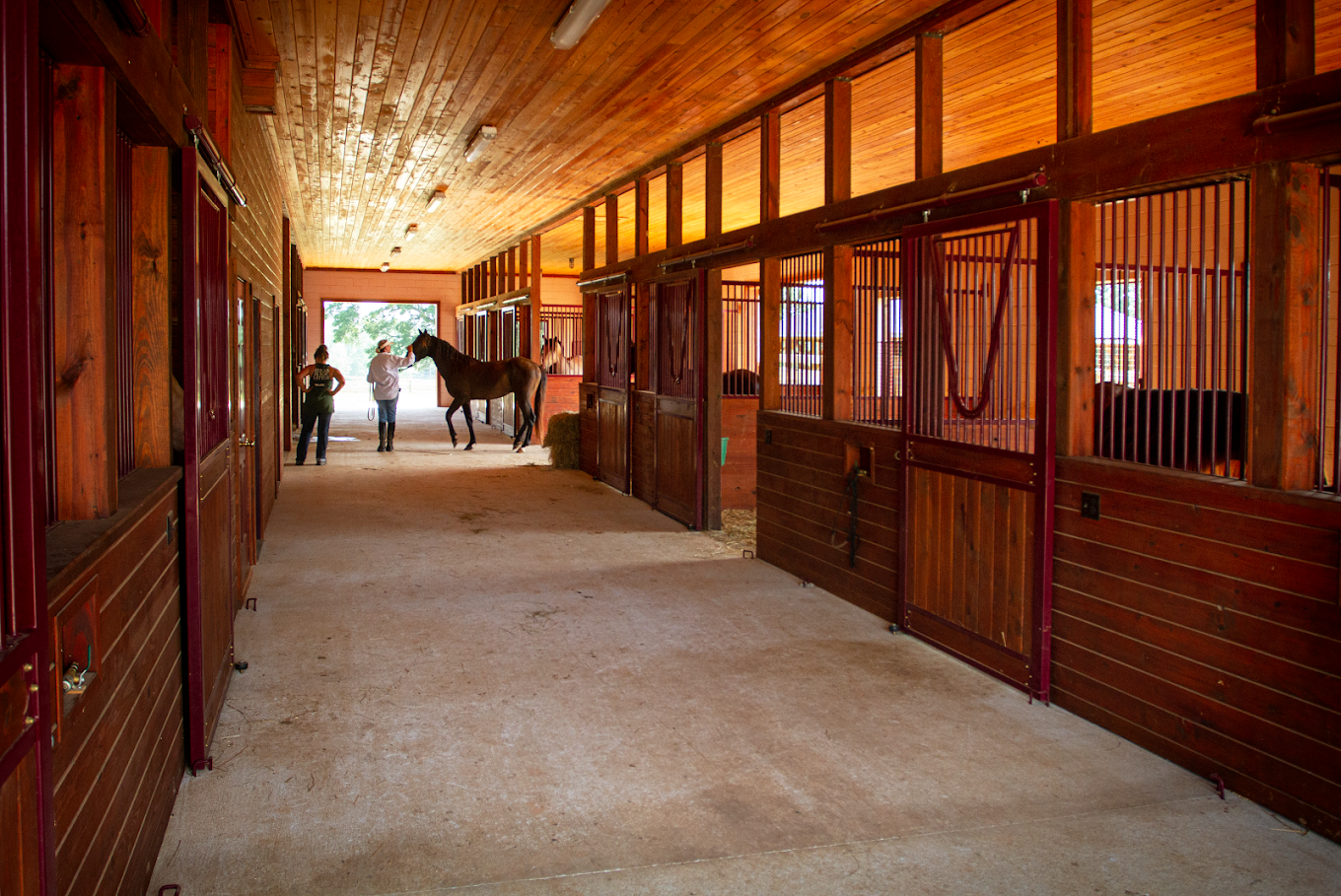 The barn's central aisle—stalls on both sides, warm wood and maroon trim