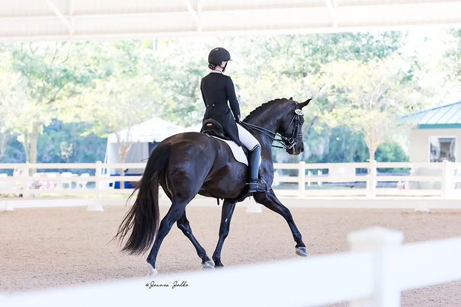 An Equitas Dressage rider in formal attire on a dark horse in a covered arena