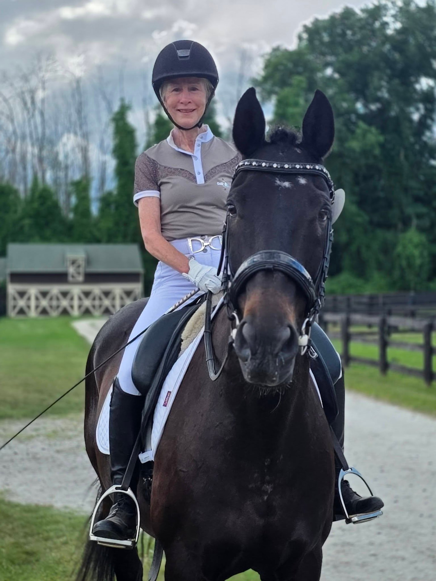 A rider on a dark bay school horse at the farm